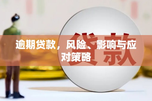 玛沁逾期贷款，风险、影响与应对策略