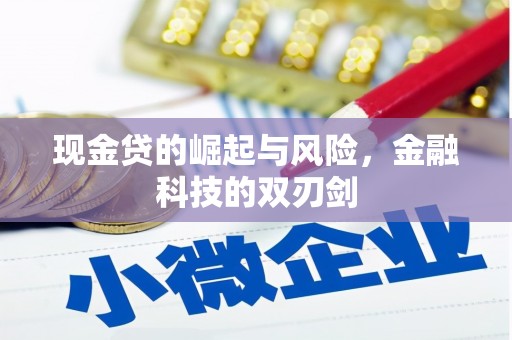玛沁现金贷的崛起与风险，金融科技的双刃剑