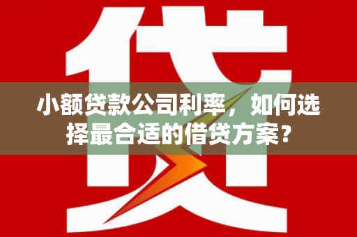玛沁小额贷款公司利率，如何选择最合适的借贷方案？