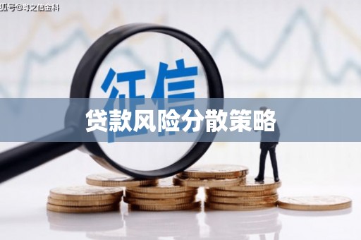玛沁贷款风险分散策略