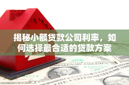玛沁揭秘小额贷款公司利率，如何选择最合适的贷款方案