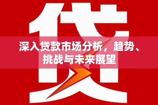 玛沁深入贷款市场分析，趋势、挑战与未来展望