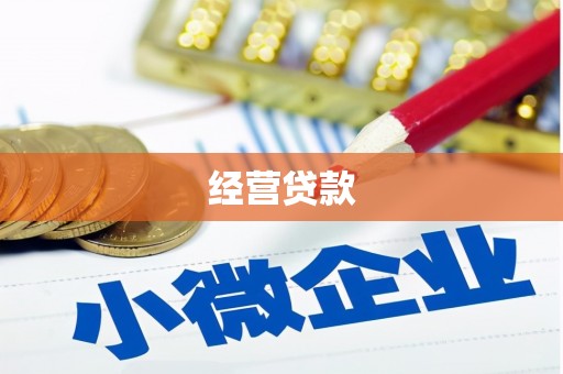 玛沁经营贷款