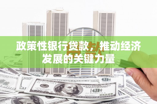 玛沁政策性银行贷款，推动经济发展的关键力量