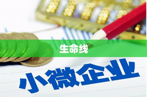 玛沁生命线