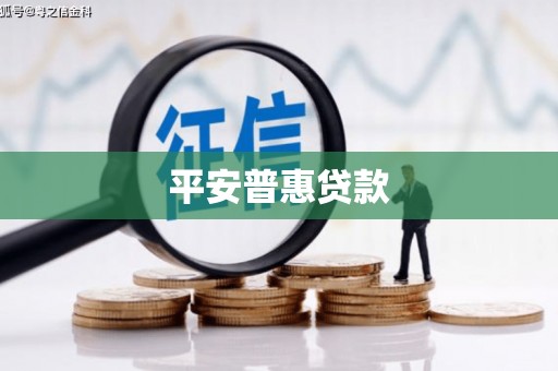 玛沁平安普惠贷款