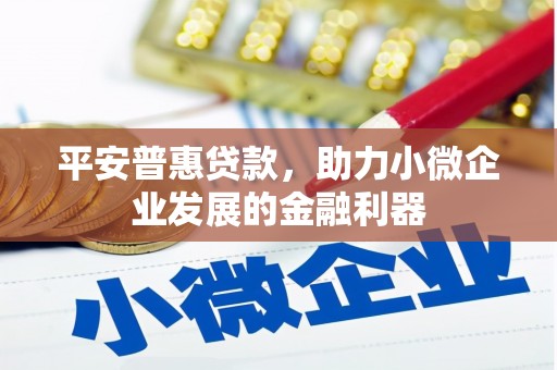 玛沁平安普惠贷款，助力小微企业发展的金融利器