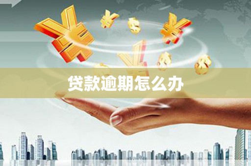 玛沁贷款逾期怎么办