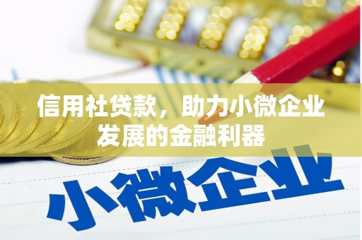 玛沁信用社贷款，助力小微企业发展的金融利器