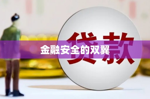 玛沁金融安全的双翼