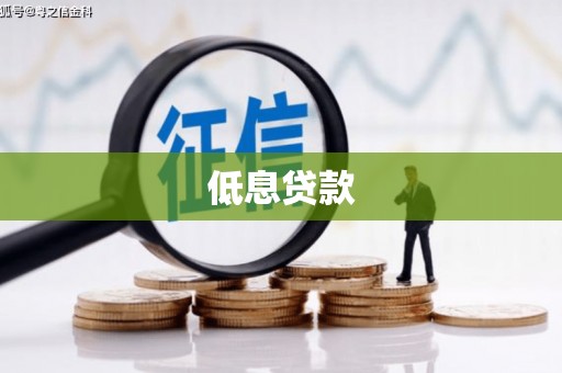 玛沁低息贷款