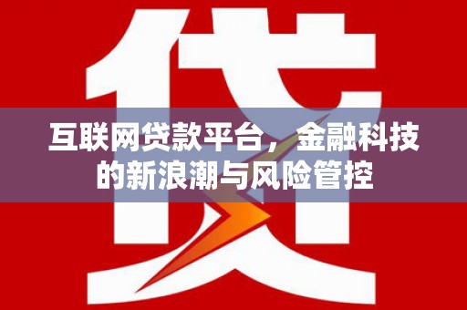 玛沁互联网贷款平台，金融科技的新浪潮与风险管控