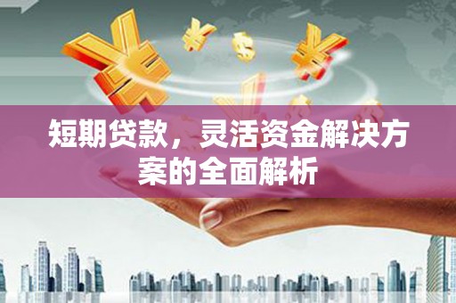 玛沁短期贷款，灵活资金解决方案的全面解析