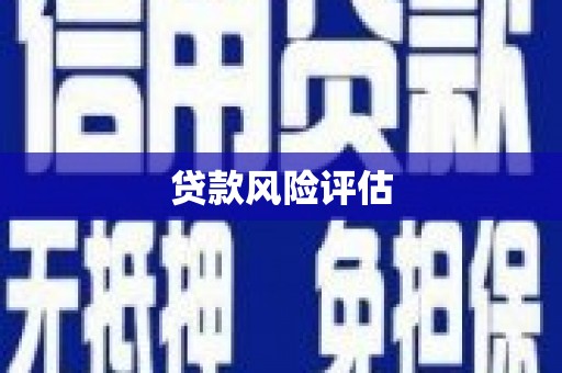 玛沁贷款风险评估