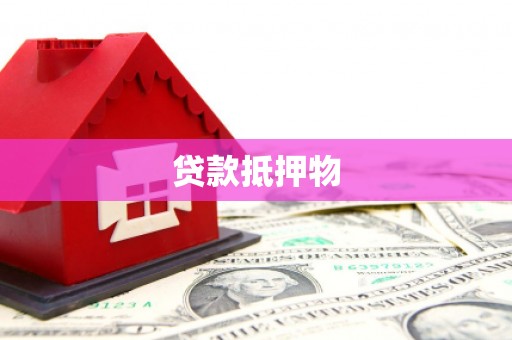 玛沁贷款抵押物