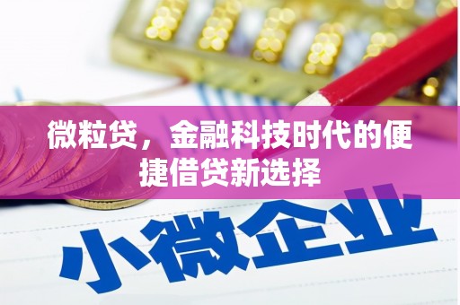 玛沁微粒贷，金融科技时代的便捷借贷新选择