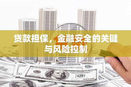 玛沁贷款担保，金融安全的关键与风险控制