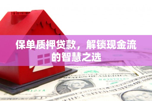玛沁保单质押贷款，解锁现金流的智慧之选
