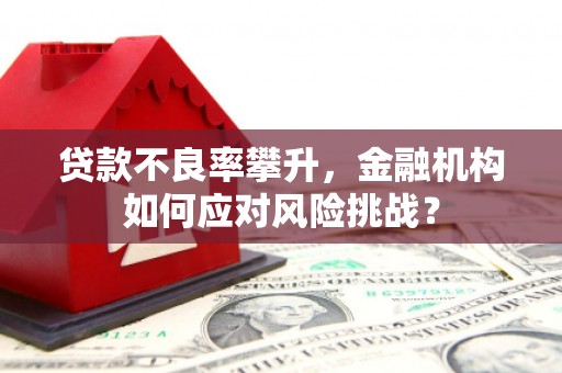 玛沁贷款不良率攀升，金融机构如何应对风险挑战？
