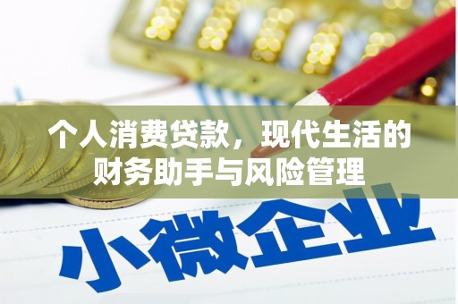 玛沁个人消费贷款，现代生活的财务助手与风险管理