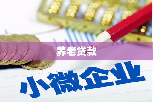 玛沁养老贷款