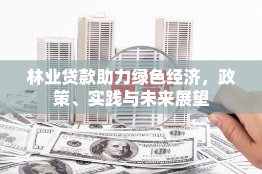 玛沁林业贷款助力绿色经济，政策、实践与未来展望