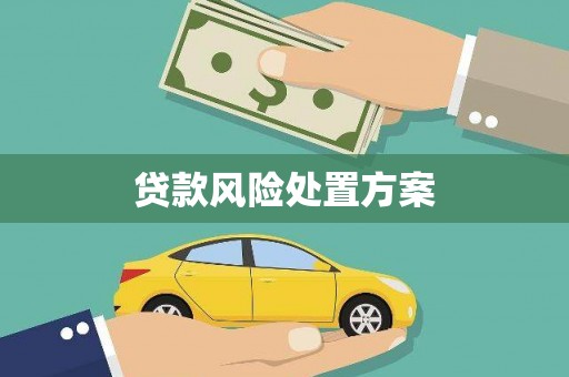 玛沁贷款风险处置方案