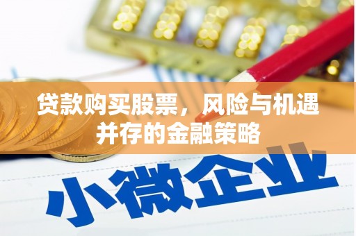 玛沁贷款购买股票，风险与机遇并存的金融策略