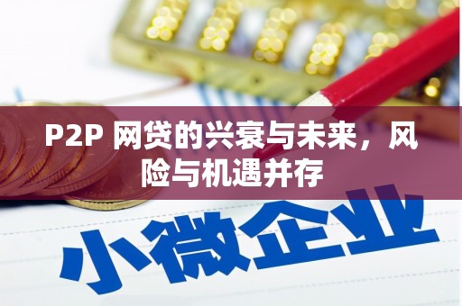玛沁P2P 网贷的兴衰与未来，风险与机遇并存
