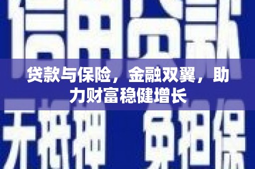 玛沁贷款与保险，金融双翼，助力财富稳健增长