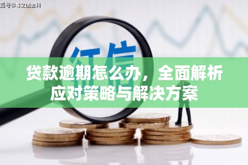 玛沁贷款逾期怎么办，全面解析应对策略与解决方案