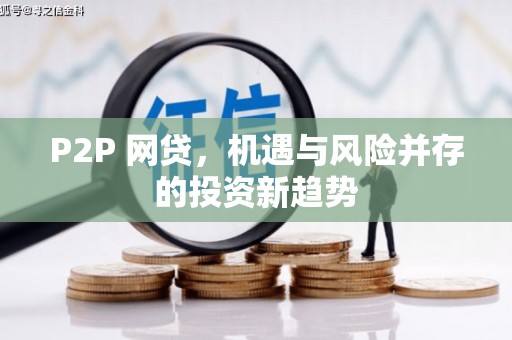 玛沁P2P 网贷，机遇与风险并存的投资新趋势