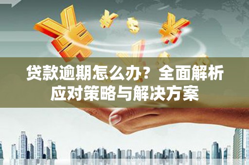 玛沁贷款逾期怎么办？全面解析应对策略与解决方案