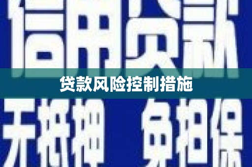 玛沁贷款风险控制措施