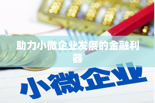 玛沁助力小微企业发展的金融利器