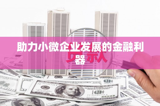 玛沁助力小微企业发展的金融利器