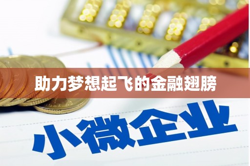 玛沁助力梦想起飞的金融翅膀