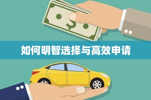 玛沁如何明智选择与高效申请
