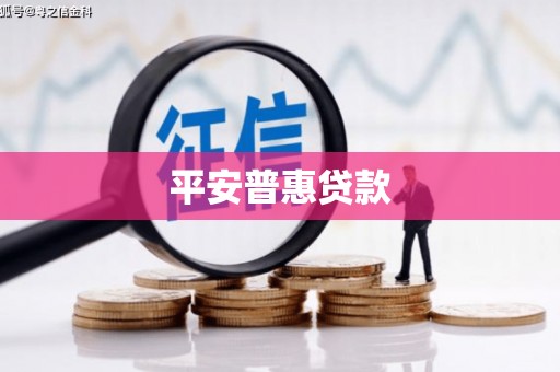 玛沁平安普惠贷款